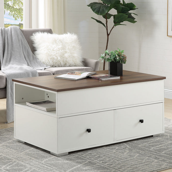 Raeden 2 Drawers Rectangular Coffee Table with Lift Top